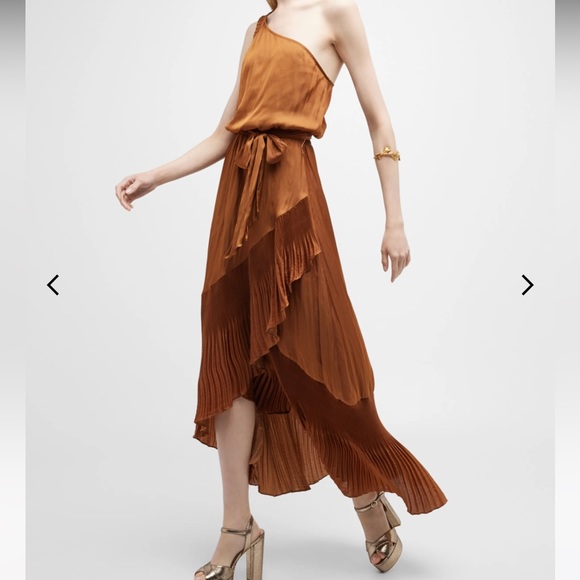 Ramy Brook Nadine Pleated Asymmetric Maxi Dress - Picture 7 of 7